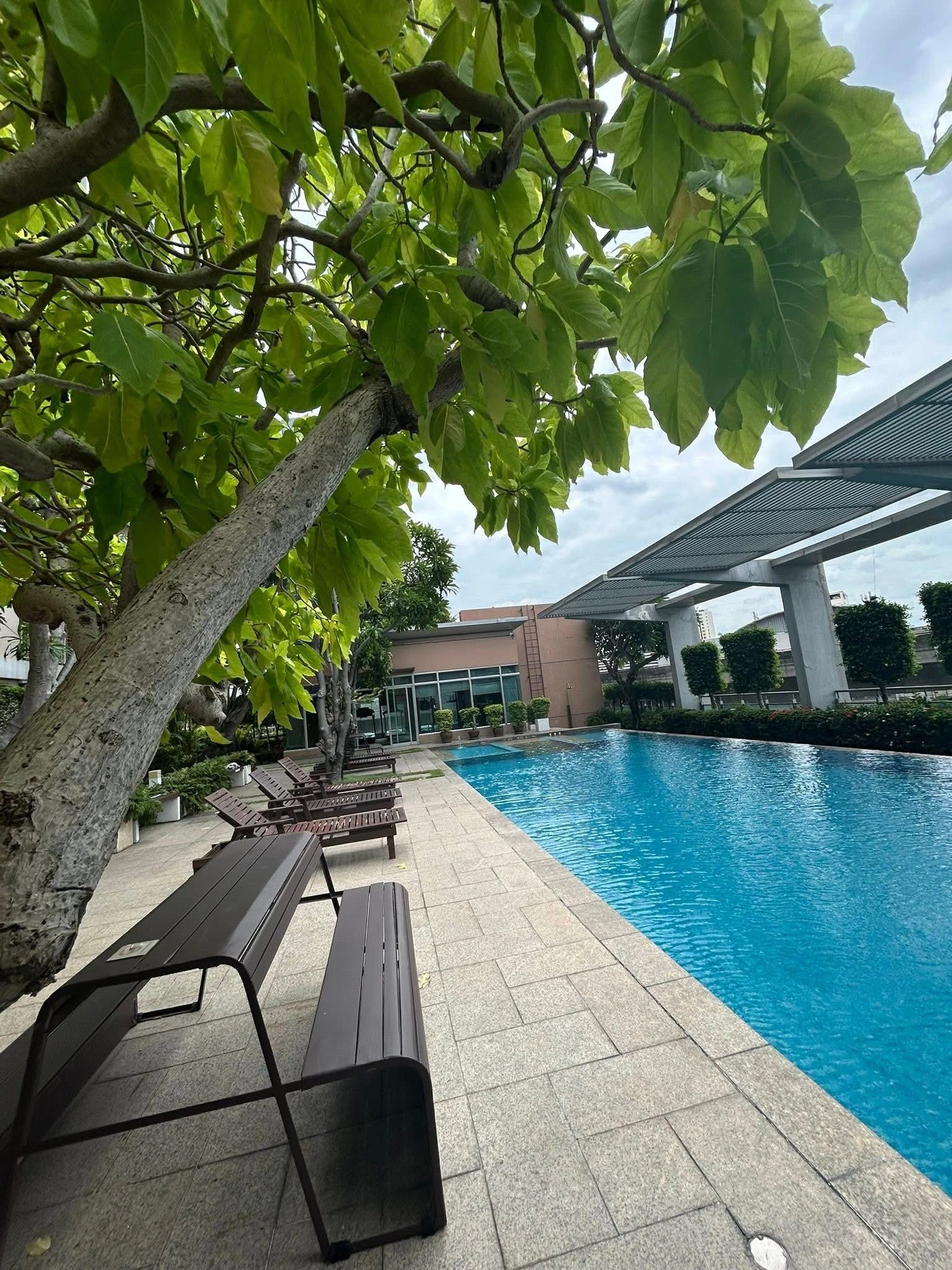 เช่าคอนโด1 BedroomCentric Scene Sukhumvit 64 - Thumbnail 12